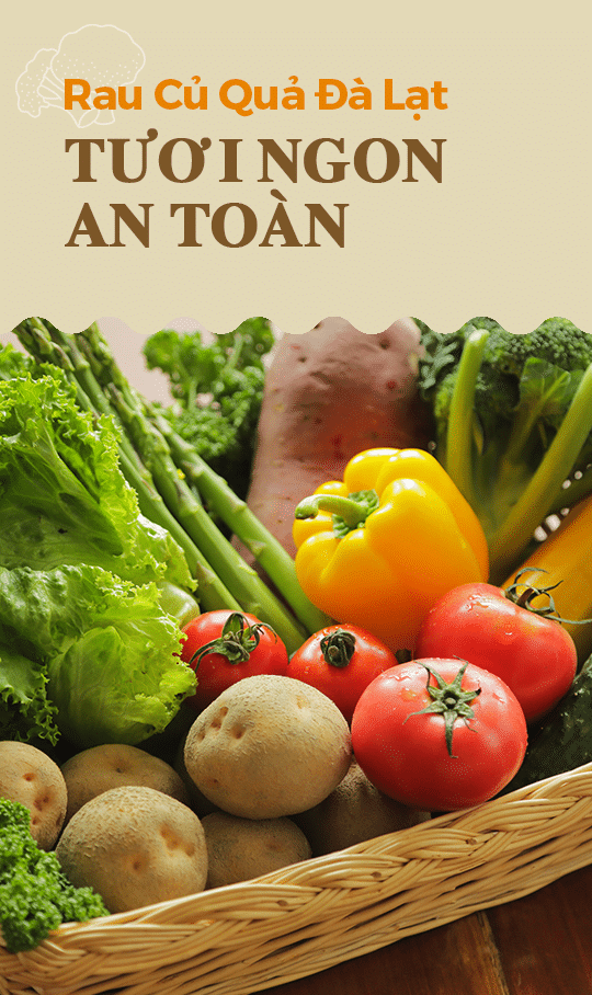 Product_top_1